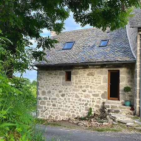 Le Chant Du Grillon *